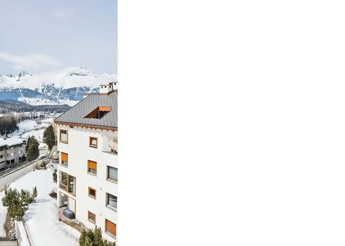 Daire Chesa Pitz Alv - *