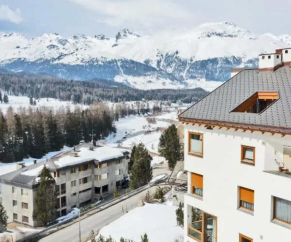 Daire Chesa Pitz Alv - *